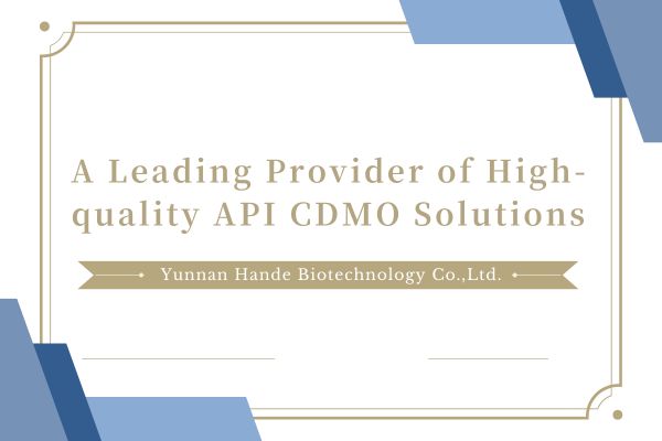A Leading Provider of High-quality API CDMO Solutions