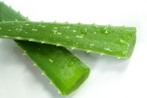 Aloe emodin