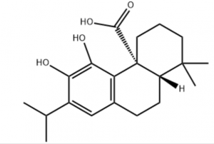 I-Carnosic acid CAS 3650-09-7