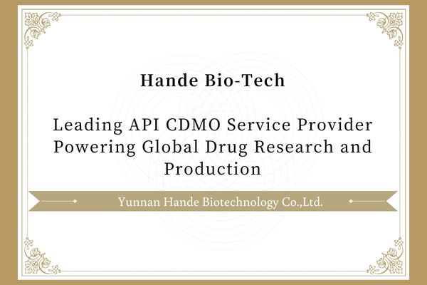 Hande Bio-Tech Leading API CDMO Service Provider Powering Global Drug Research and Production