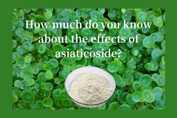Quant saps sobre els efectes de l'asiàticòsid?