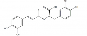 Acidu rosmarinicu CAS 20283-92-5