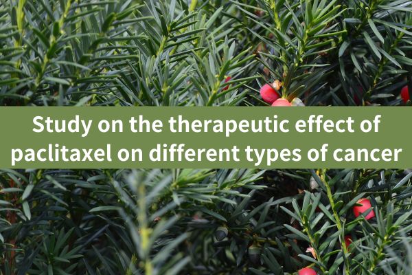 Study on the therapeutic effect of paclitaxel on different types of cancer