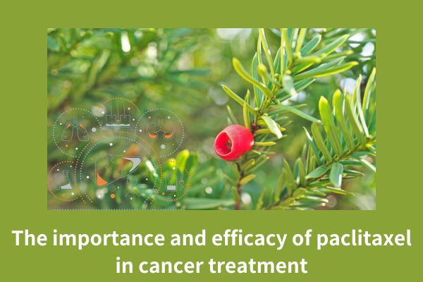 The importance and efficacy of paclitaxel in cancer treatment