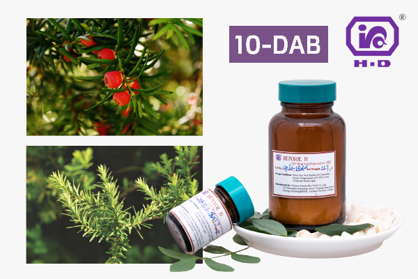 តើ 10-Deacetylbaccatin (10-DAB) មានអត្ថប្រយោជន៍អ្វីខ្លះ?