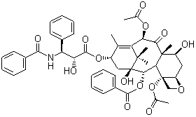 紫杉醇a CAS 33069-62-4